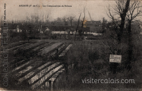 Les cressonières de Brêmes