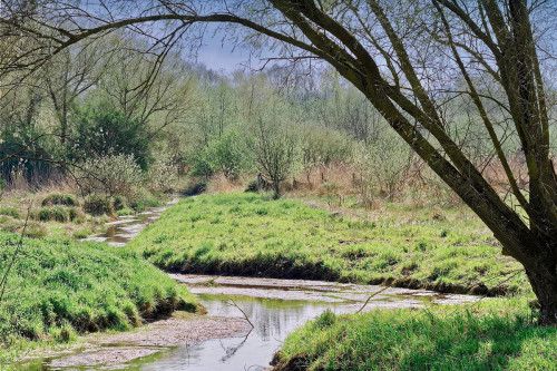 la riviere a bouzats