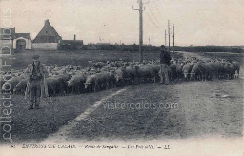 Les Prés-Salés route de Sangatte