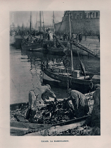 Pêcheurs ramenant au port de Calais leur cargaison de harengs