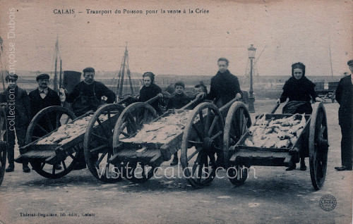 Le transport du poisson à Calais