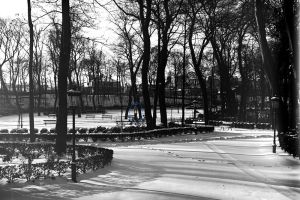 Le parc est sous la neige.