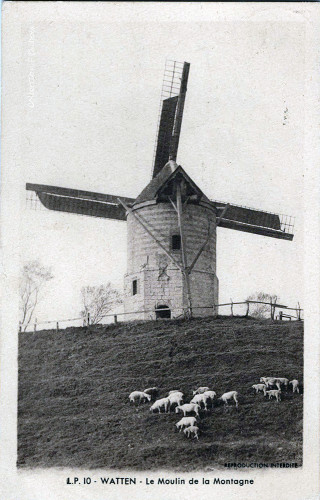 Le moulin de la Montagne à Watten